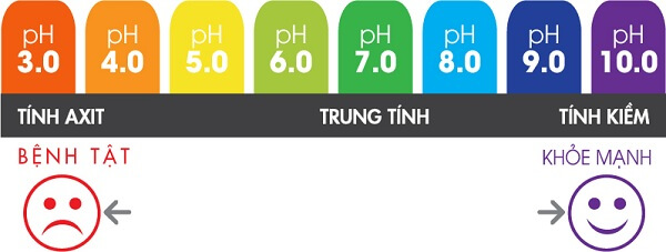 Thang đo độ pH và sức khỏe
